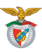 https://img.hnstmylpj.com/img/football/team/13d8d22b32e0803f939082416da63541.png